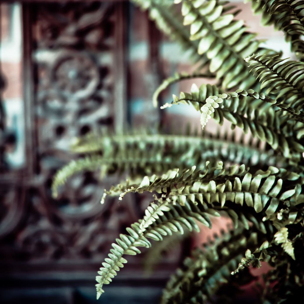 detail1
